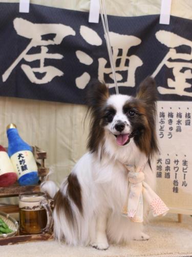 20240609マリーちゃん